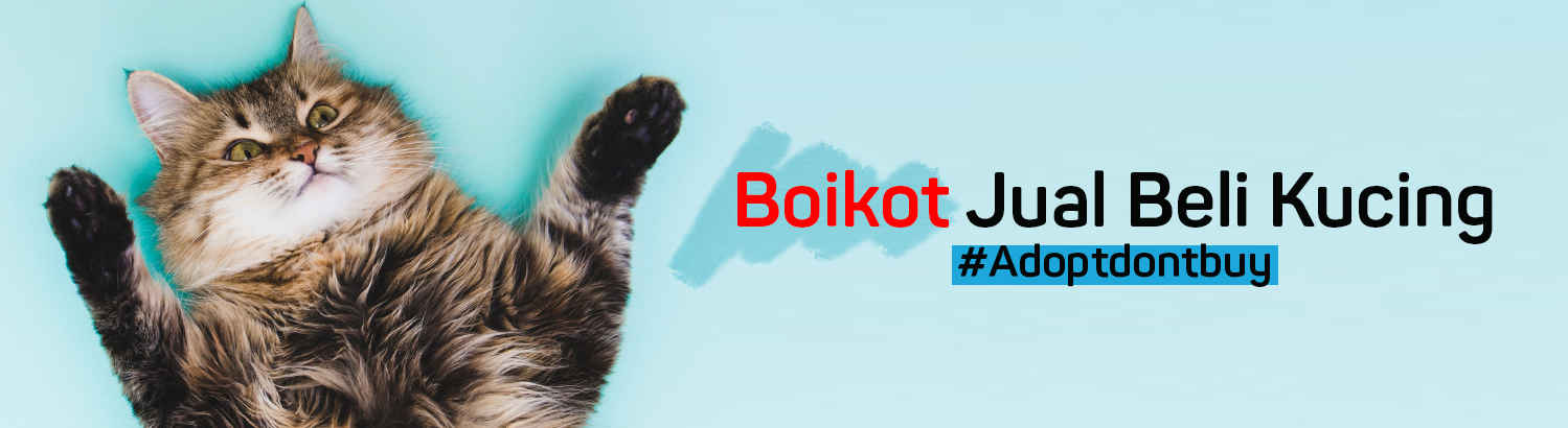 Fanatik Kucing